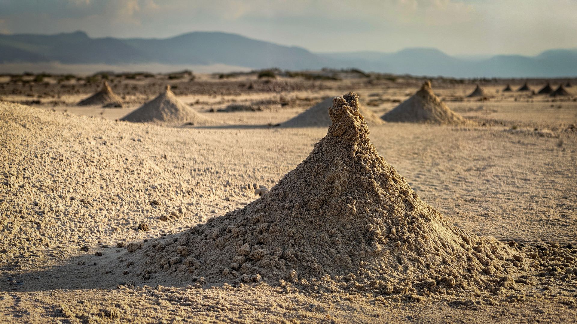Socotra island landscape