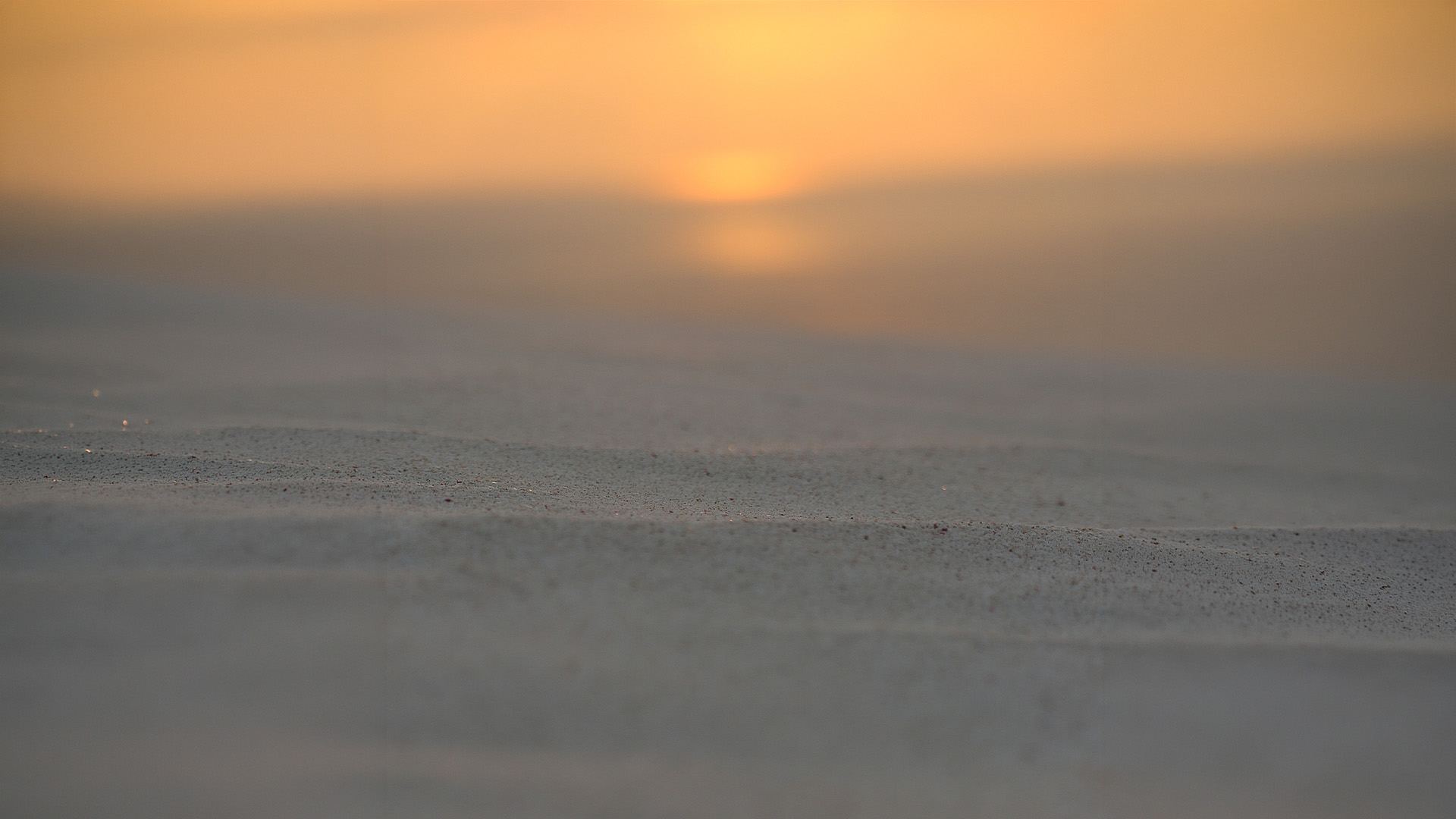Socotra island landscape