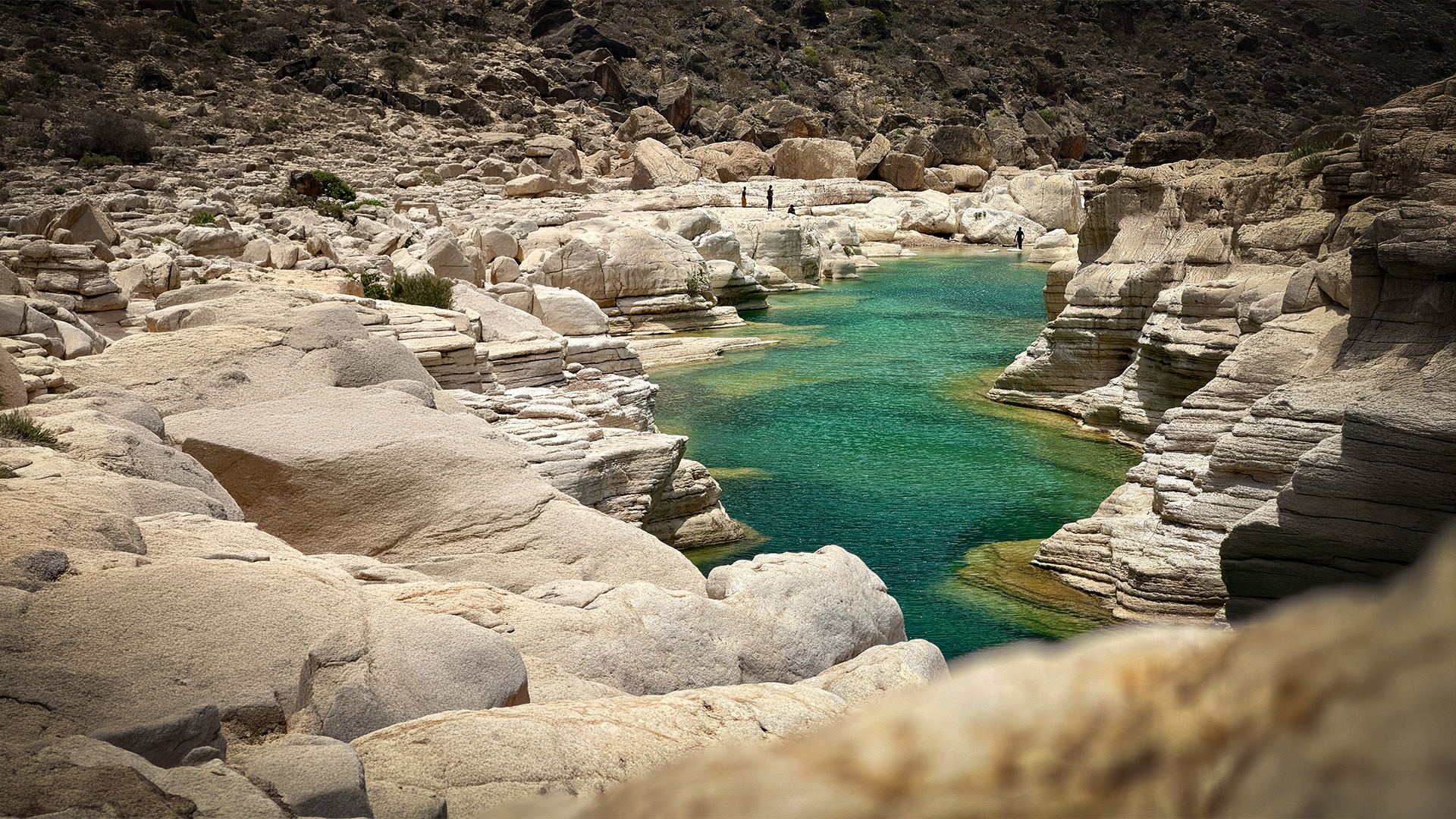 Socotra island landscape