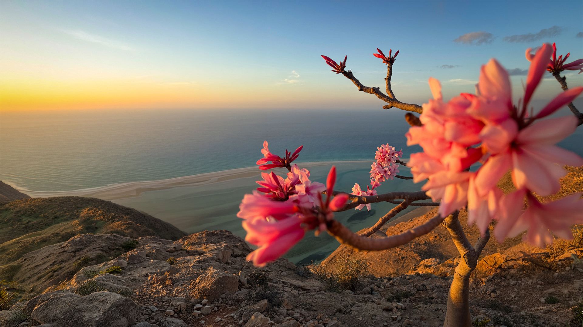 Socotra island landscape