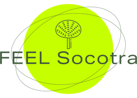 FEEL Socotra Logo